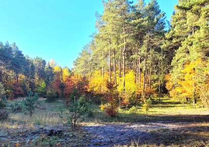 działka na sprzedaż - Łazy (gw), Grabowa
